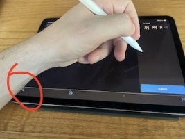 5.1 BETA Flashcards Button Left.jpg